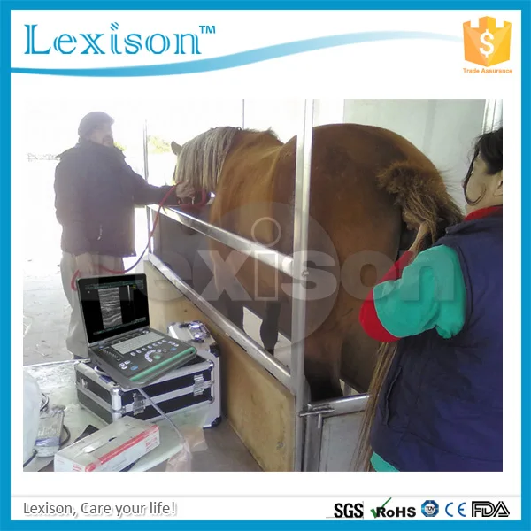 Portable vet ultrasound machine for dog horse pregnancy test