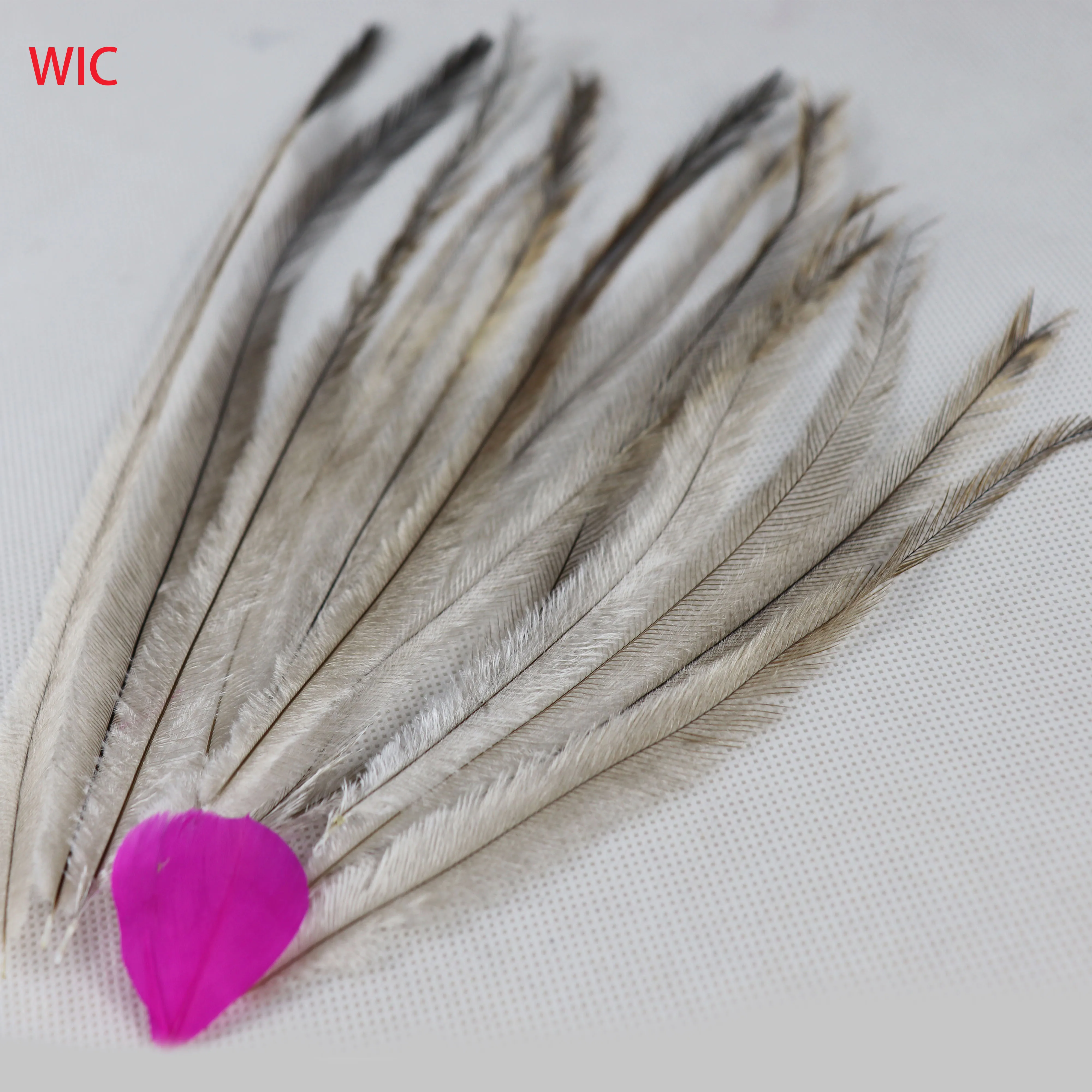 emu feathers for Feather Extensions