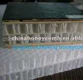 large size pp honeycomb panel/board in plastic composite panels best core for dry container box wall