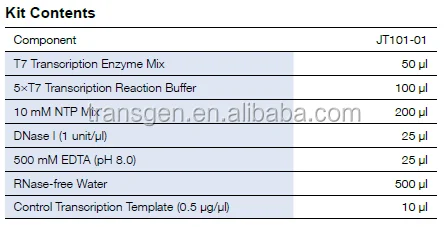 T7 High Efficiency Transcription Kit-RNA polymerase by TransGen Biotech