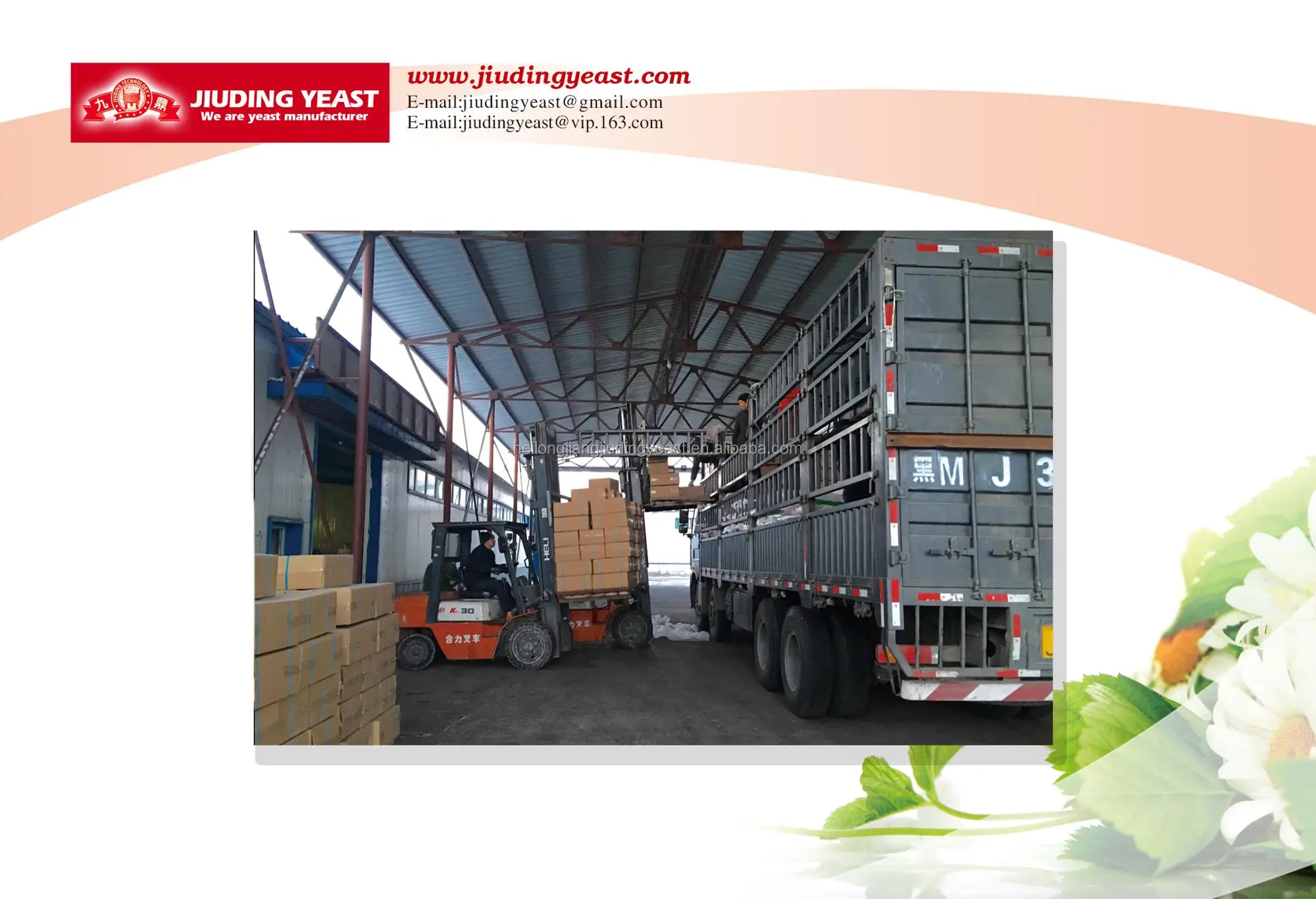 
BV certificatedinstant yeast high suger bakery active dry instant yeast factory 