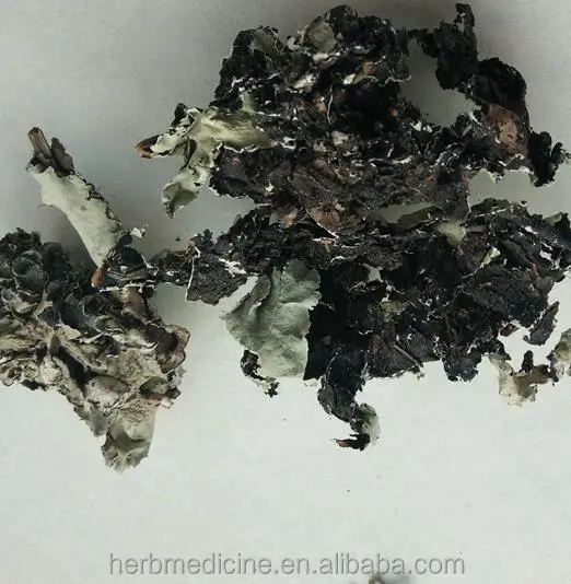 Сырье Ши Хуа, натуральное сухое цельное растение для здорового питания, Parmelia saxatilis