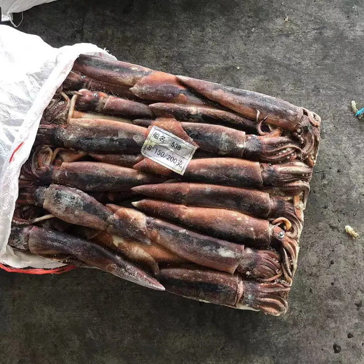 Свежие морепродукты, замороженный кальмар lолиго бали индонезия