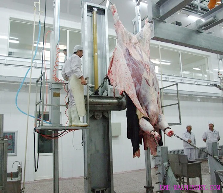 Крупный рогатый скот оборудование скотобойни кожа для того чтобы извлечь аппарат