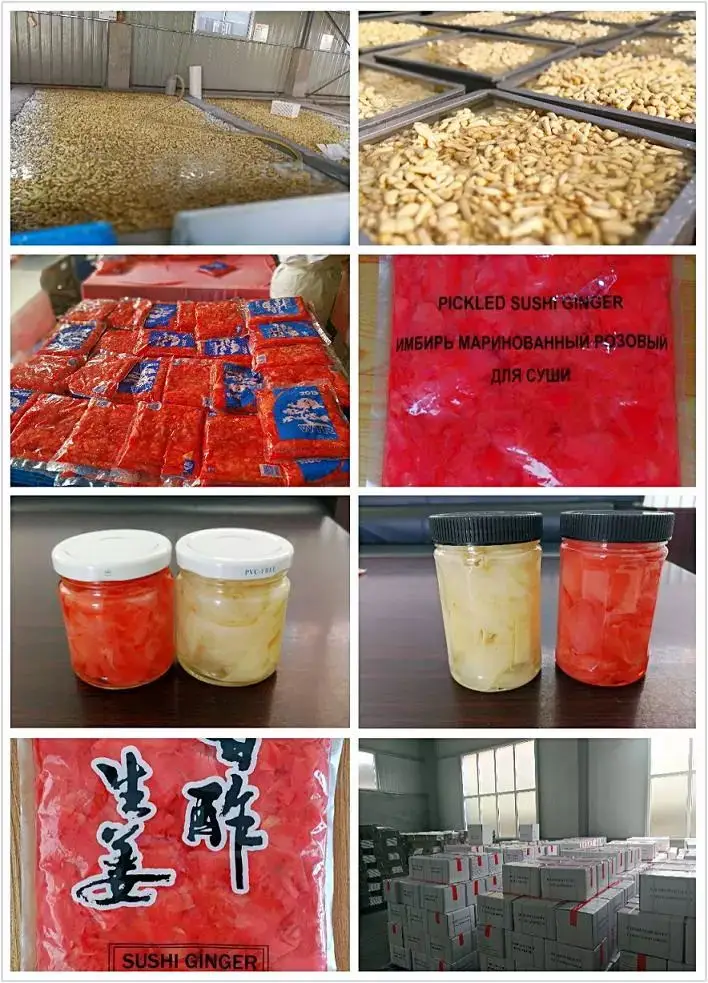 Preserved Sour and Sweet Gari Marinated Sushi Ginger White  for Japanese Sushi