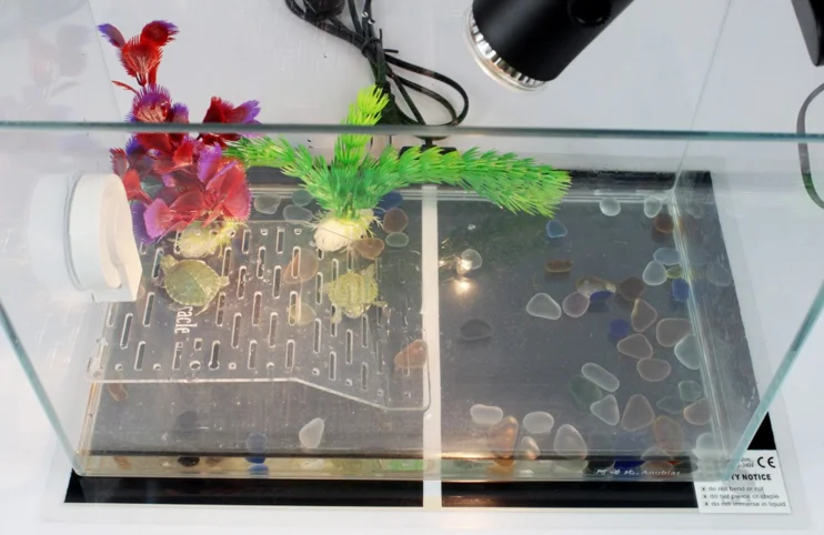 2022 New Arrival Heat Mat 15x28cm 7W Reptile Brooder Incubator Pet Heating Pad Aquariums & Accessories Plastic Black 110V-120V