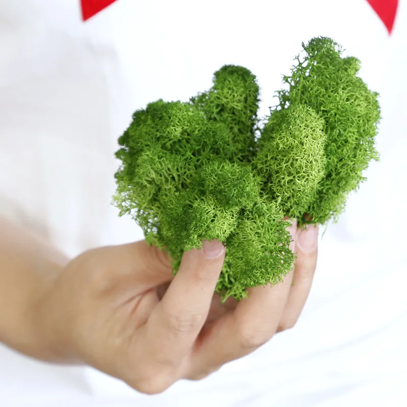 Wholesale 500G Long Life Preserved Moss Use To Make Stabilize Moss preserved Wall artificial moss grass wall for decoration