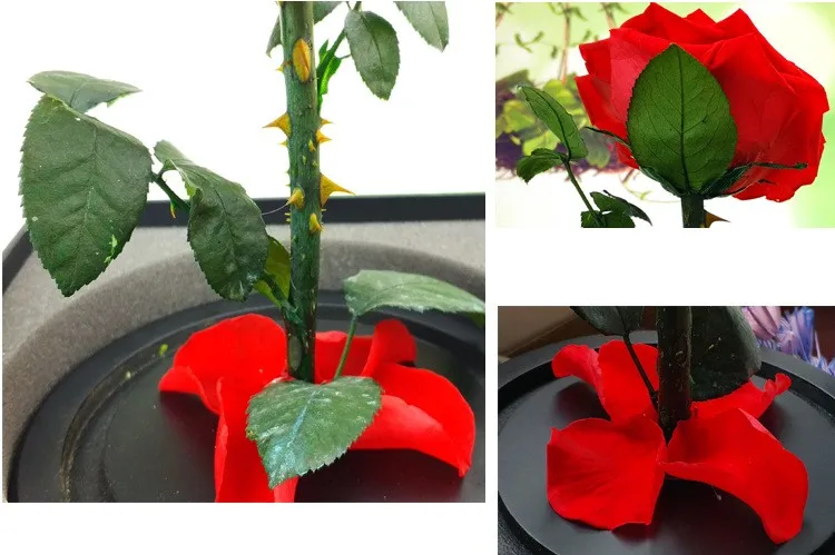eco friendly mothers day gifts preserved flower rose  artificial flower gift wholesale