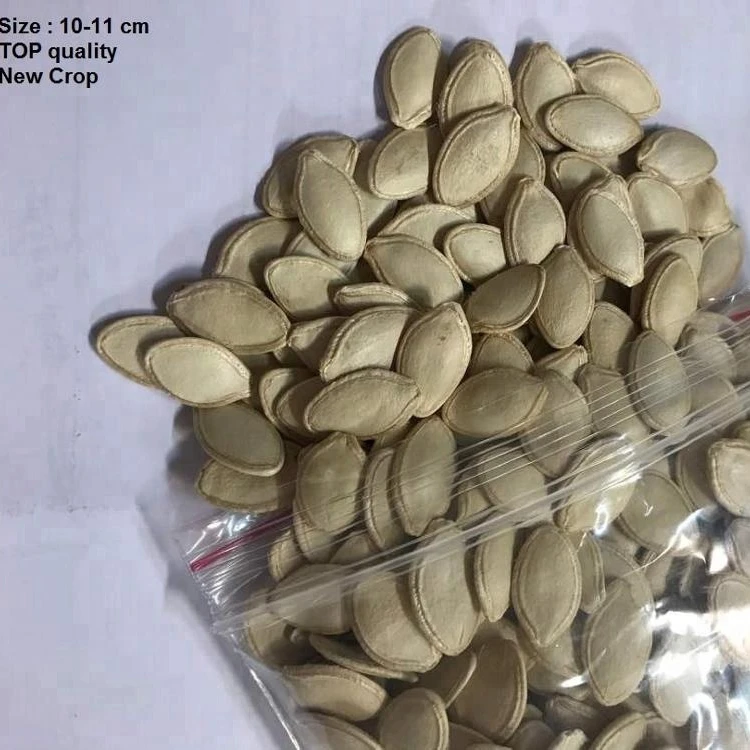 
Shine Skin ( lady nail ) Pumpkin Seeds cheap price 
