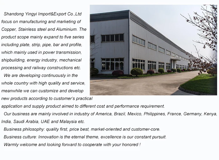 company introduction