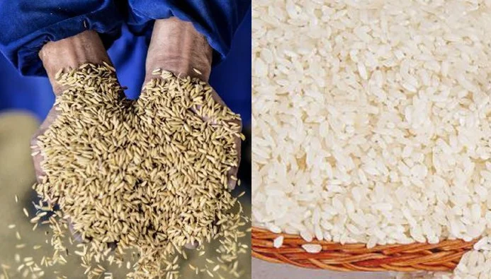 50 Ton Per Day Complete Rice Milling Machine Line