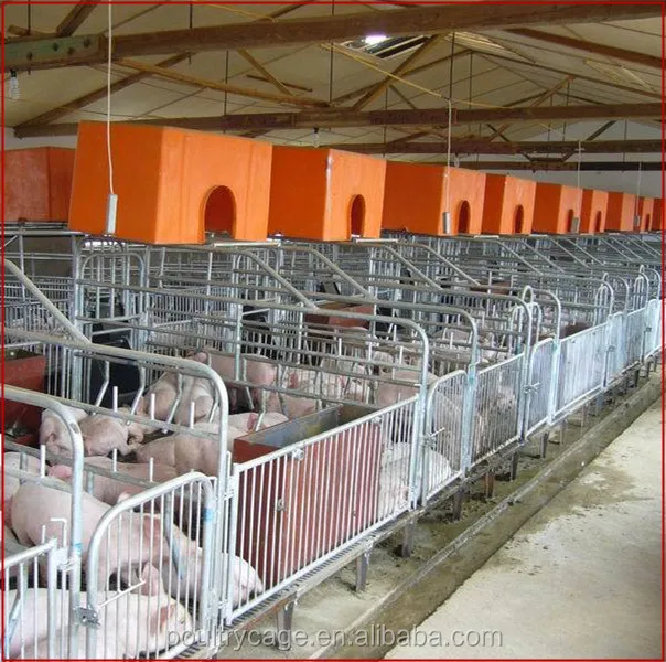 Wholesale Pig Feeding Equipment/Farrowing Crate For Sale