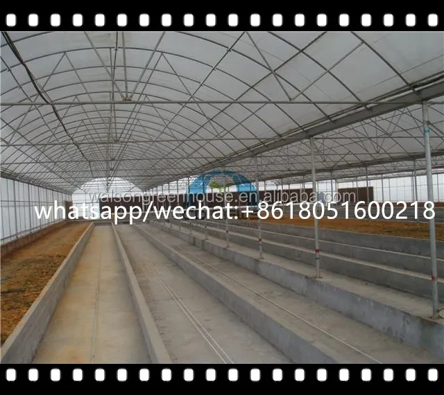 Pe Film Glass Poly Tunnel Reinforced Plastic Film Greenhouse for Poultry House