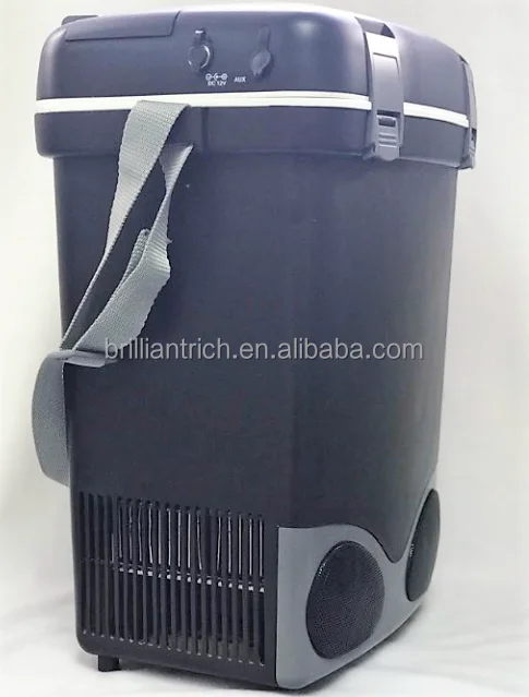 cooler and warmer box with wireless speaker