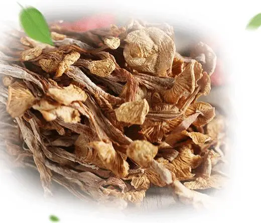 Nutrients Dried Enokitake/ Enoki / Golden Needle Mushroom