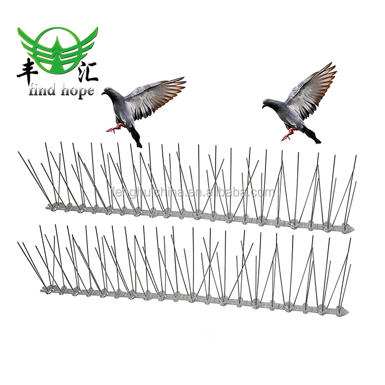 Ловушка для птиц в продаже