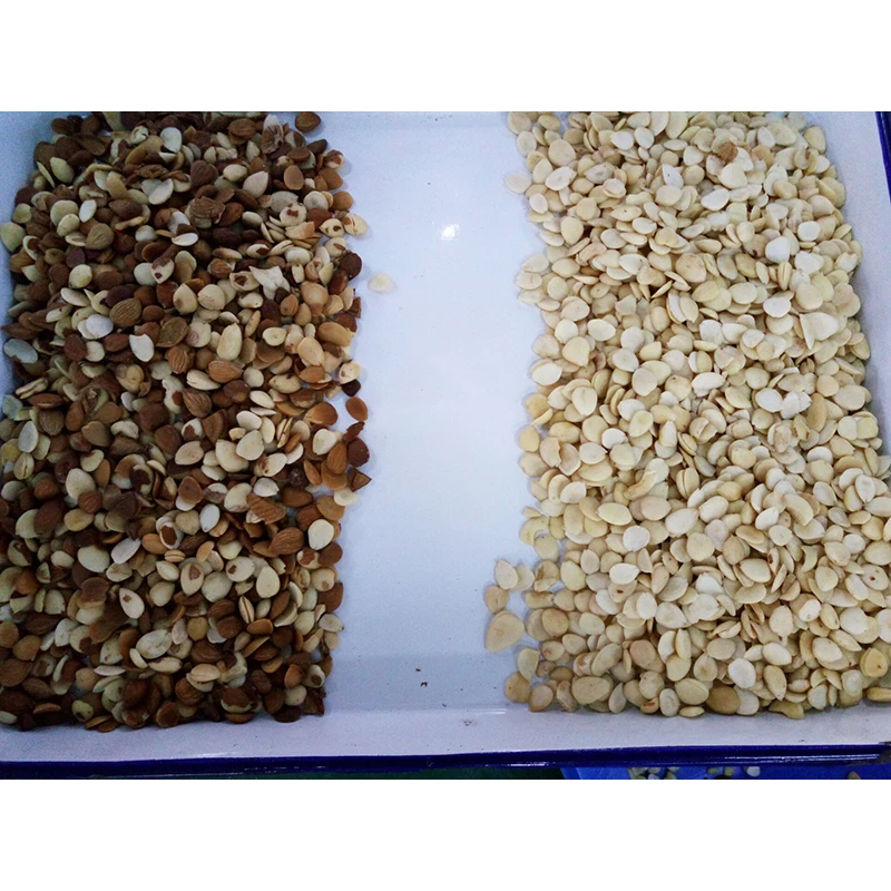 Automatic Cashew Color CCD Sorter Processing Machine