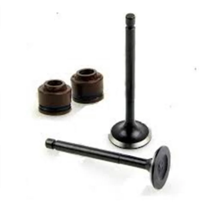 For benelli TNT 25 150 250 300 600 1130 160R motorcycle spare parts engine valves,intake and exhaust valve