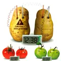 New Energy toys Potato Clock Green Science Electro chemical Cells Electrical energy Conversion Teaching toys Learning