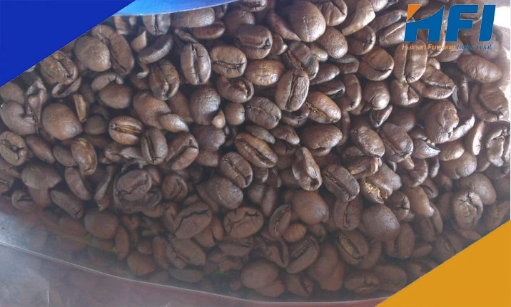 Arabica Luwak Coffee beans