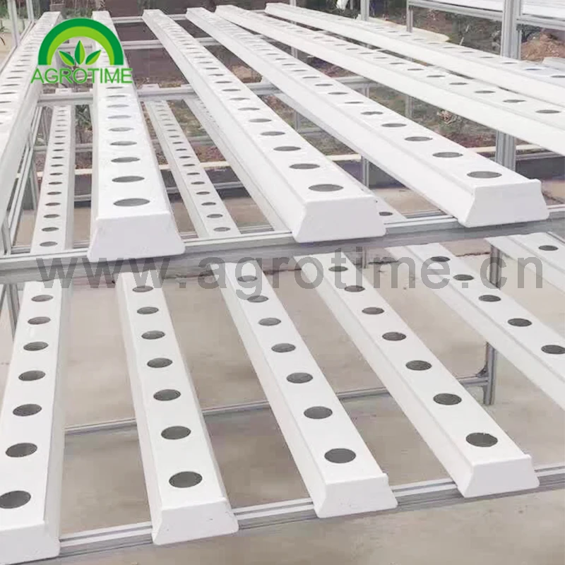 hydroponic systems for grow lettuce