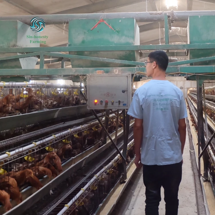 3tiers 4tiers layer chicken egg cage battery cages for chicken farm