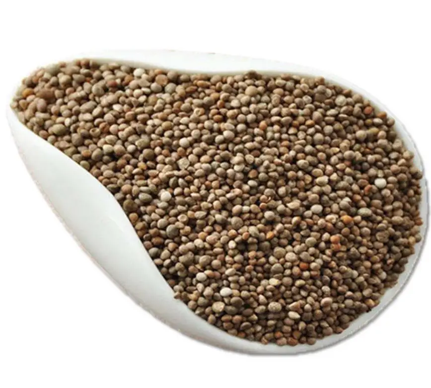 Su zi 100% natural and pure seeds Natural dried Fructus Perillae semen