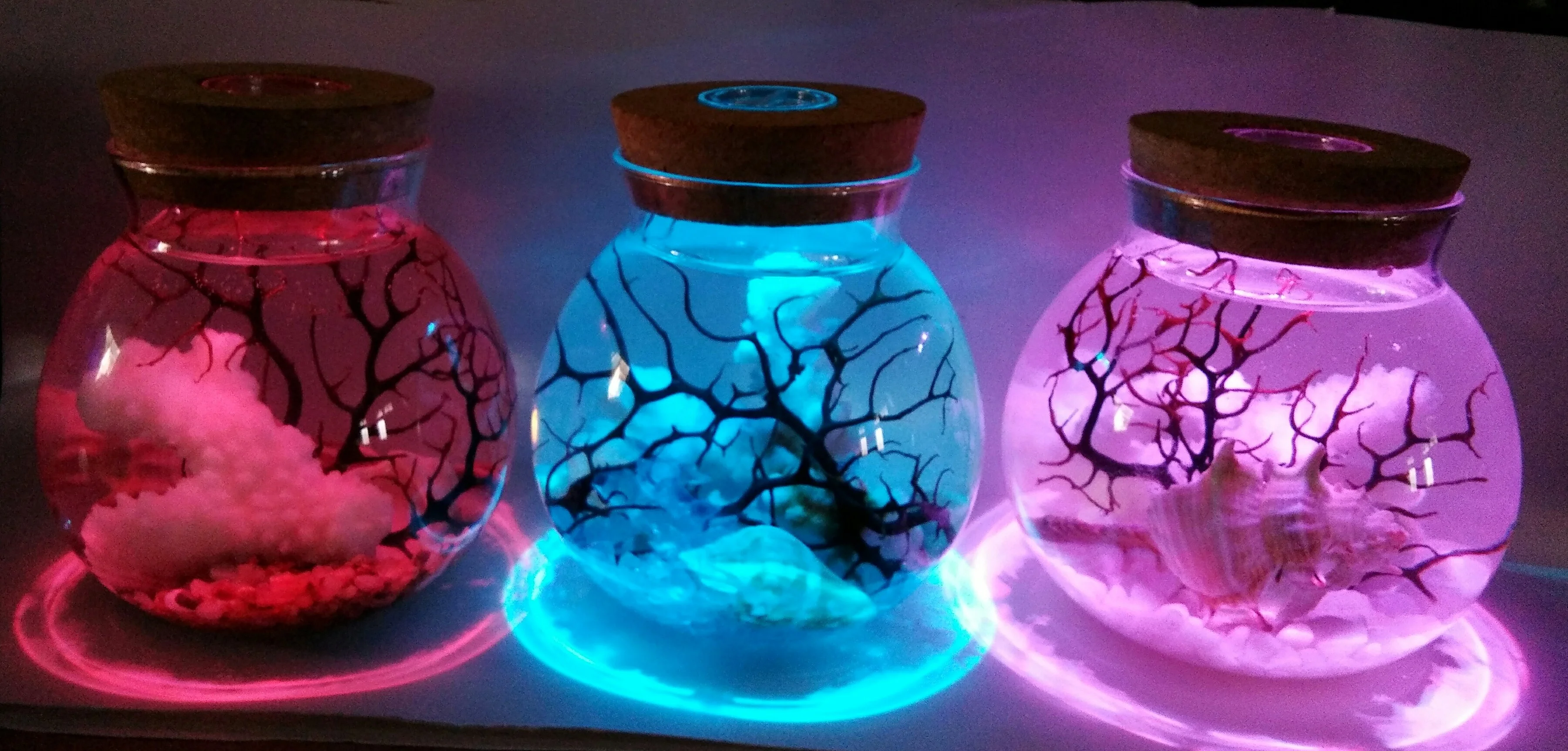 Sea Hornbeam and seashells in bottle with multi color LED light sand nautical gift house decor home decoration gift desktop