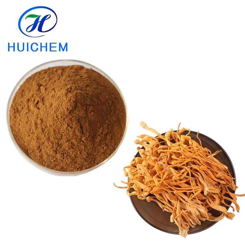 
ISO Manufacturers Cordyceps Sinensis Extracts raw powder 