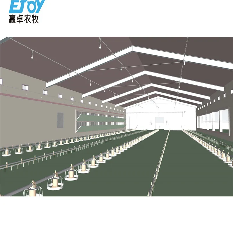 Курица Птицефабрика структуры конструкция