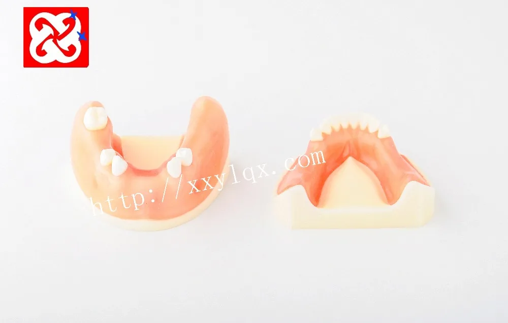 implant practice denta model for cutting, suturing in different teeth missing lower half
