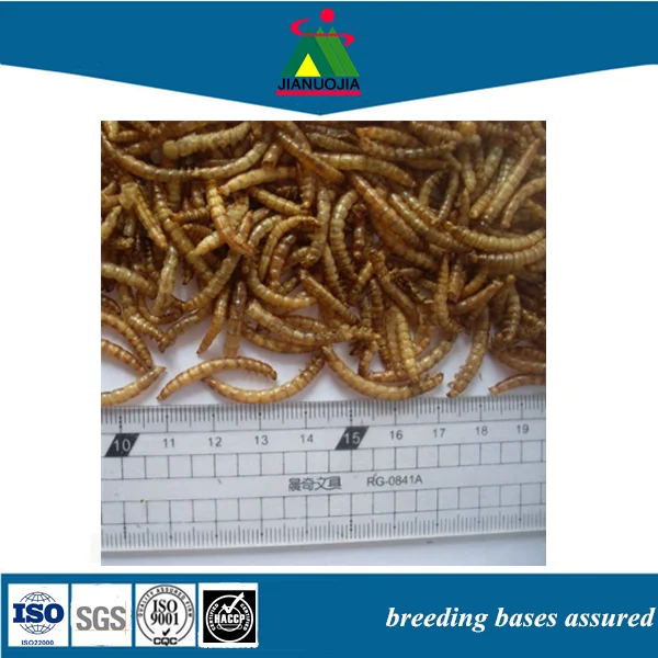 Сушеный мельница