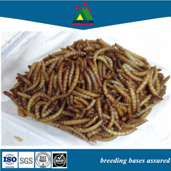 Сушеный мельница