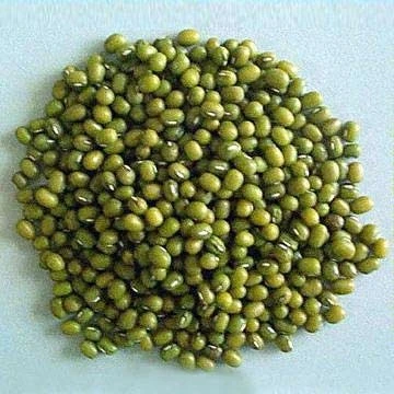 china food grade green beans high protein green mung bean