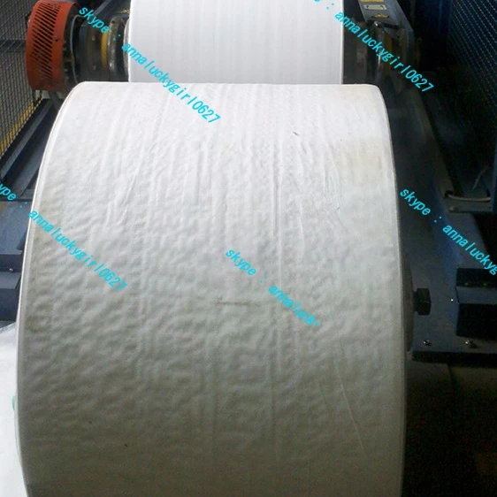 China export Brazil cheap price raffia PP woven fabric roller tubular conventional lamination anti-skip