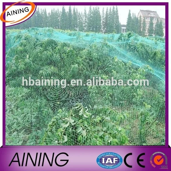 нейлона узлом борьбе птица сеть для защите сельскохозяйственных культур