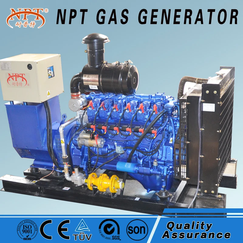 CE approved silent coal natural gas electricity generation price