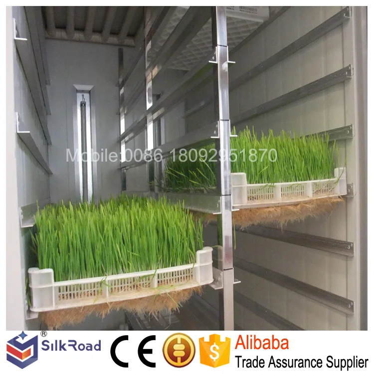 Good Quality cattle green fodder growing machine