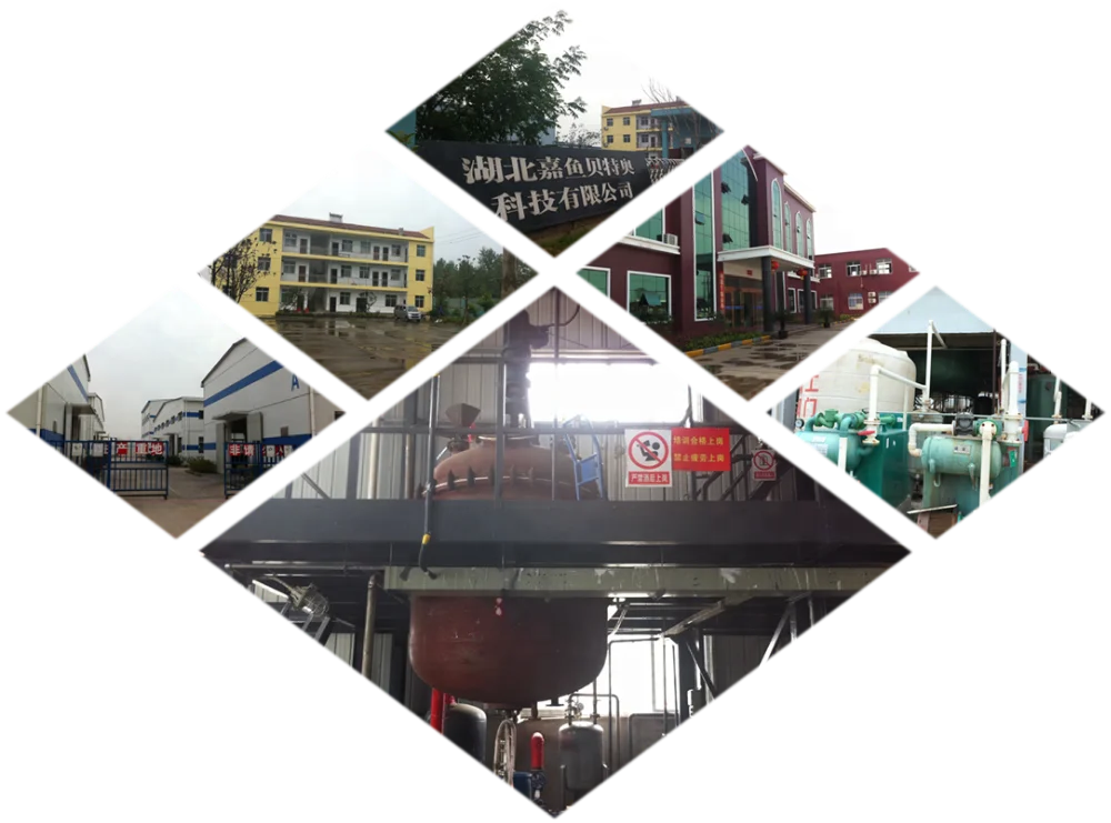 
VANZ Pharm Provide Amprolium Hydrochloride for Poultry 