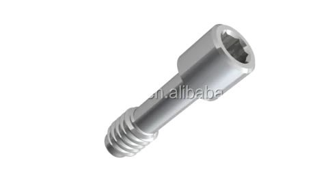 
titanium Dental implant Abutment with Abutment Screw 