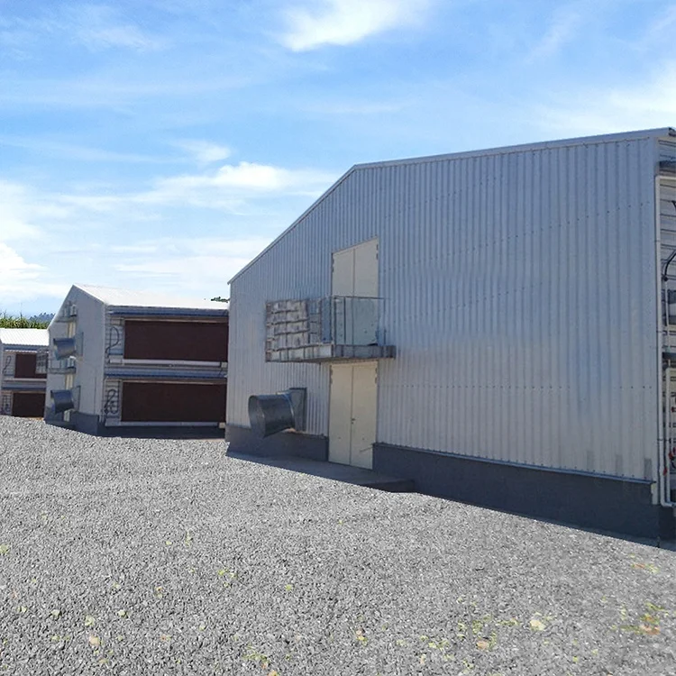 Легкая стальная конструкция для строительства, автоматическая система для птицеводства