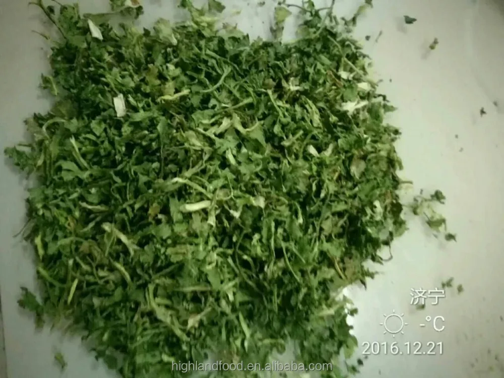 Delicious Chinese Vegetable Dried Dehydrated Parsley /coriander Leaves