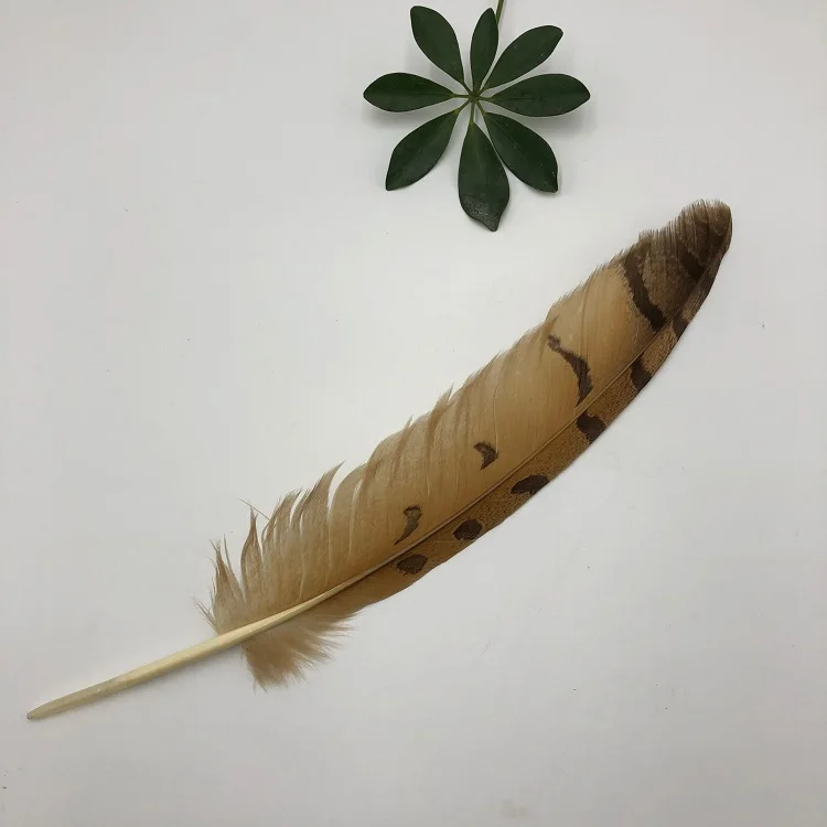 Natural owl Feathers 14-16 inch /35-40 cm carnival Diy costume