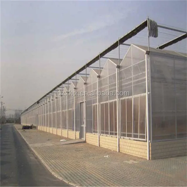 Agricultural Greenhouses polytunnel green house polycarbonate greenhouse