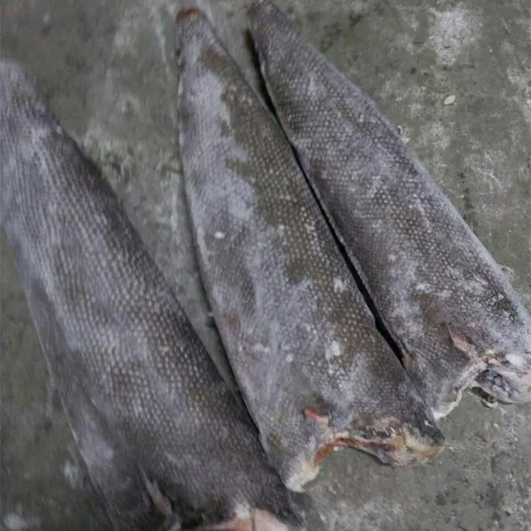 Оптовая Продажа, Горячая Распродажа морепродуктов, замороженная нефтяная рыба хорошего качества для рынка или банка