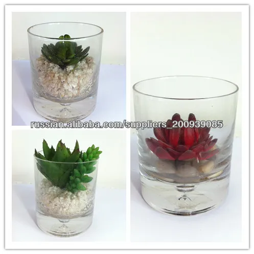 2014 Hot mini real touch artificial plant bonsai with glass pot for decor