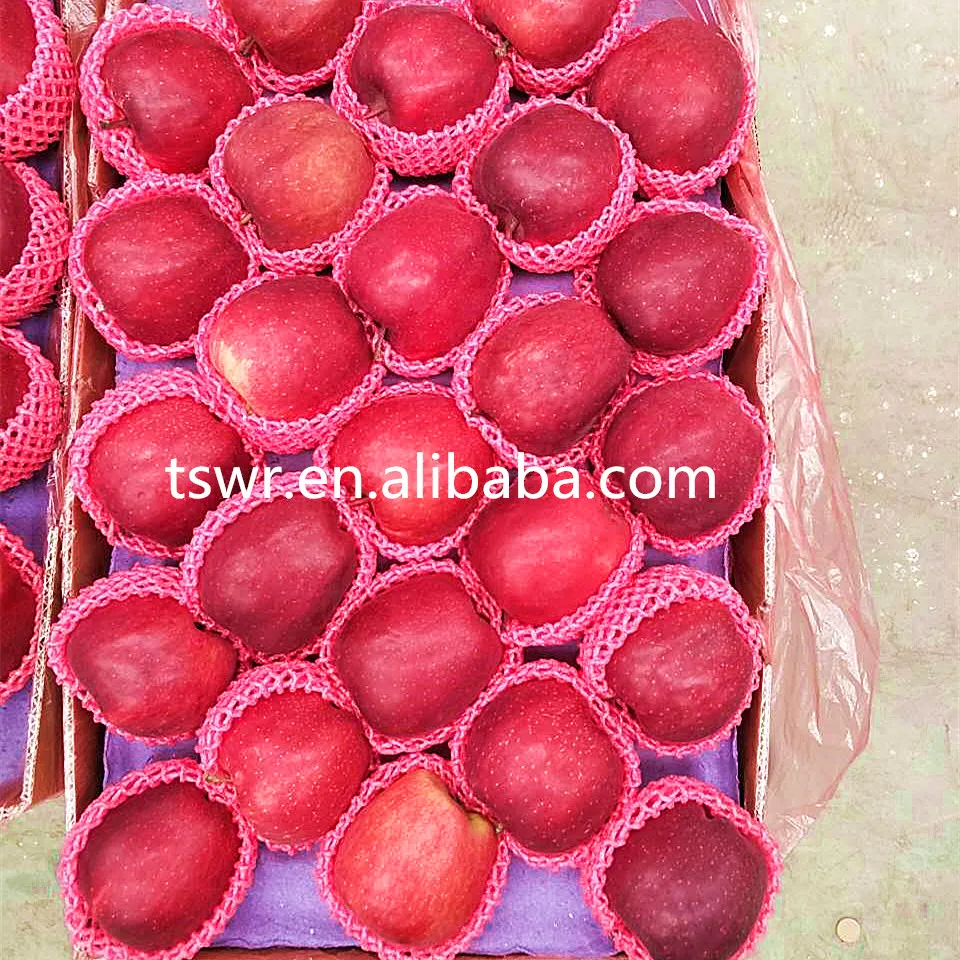 
China Fresh Fruit Huaniu Apple 