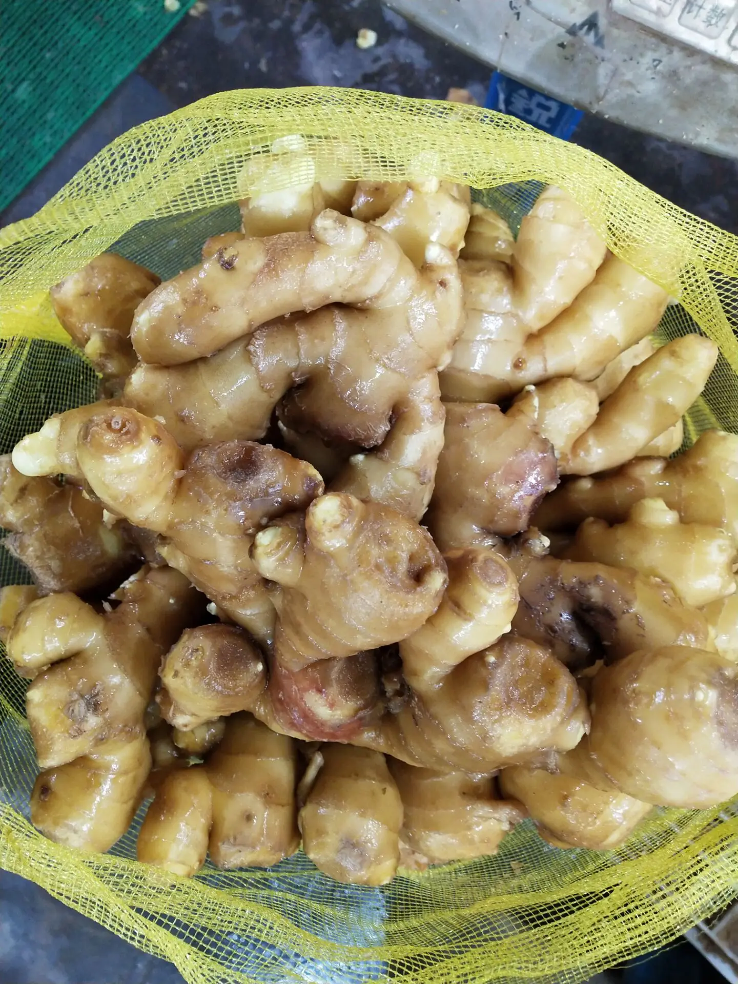
The fresh ginger with the competitive price 
