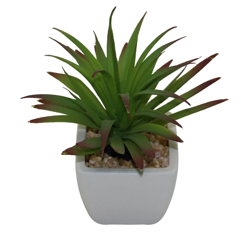 
Artificial mini succulents plants glass ball plant 