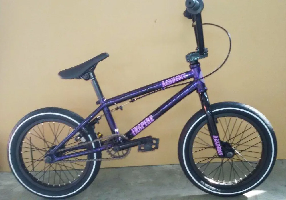 Freestyle single speed 20 inch BMX